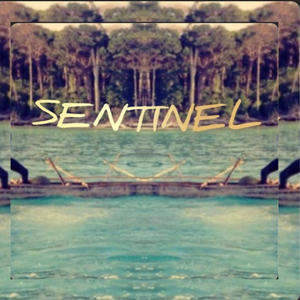 Sentinel (Explicit)