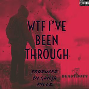 WTF I'VE BEEN THROUGH (Explicit)