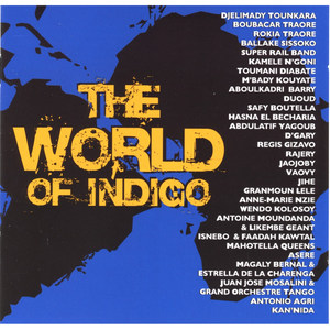 The World of Indigo