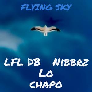 Flying sky (feat. nibbrz & lo chapo) (Explicit)