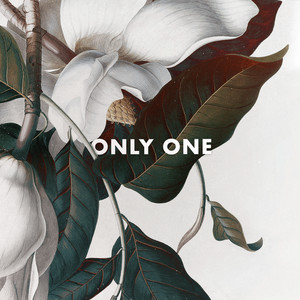 Only One(feat. B. Lewis)