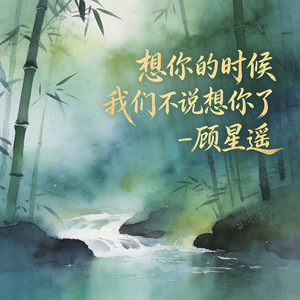 想你的时候我们不说想你了