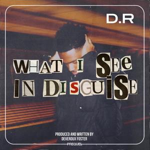 What I See In Disguise (Explicit)