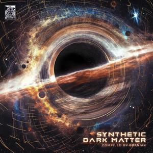 Braniak Synthetic Dark Matter