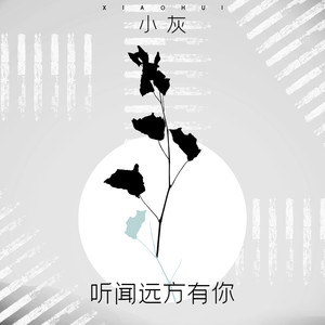 听闻远方有你