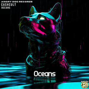 Oceans (Radio Edit)