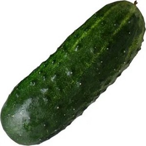 Violetstage (Explicit)