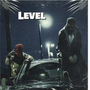 Level