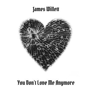 You Don't Love Me Anymore