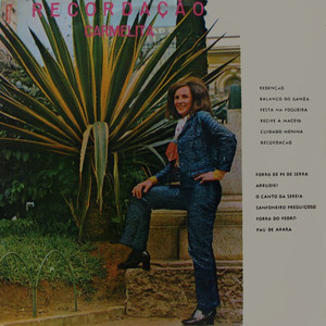 Sanfoneiro Preguiçoso