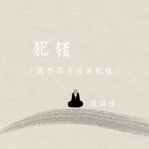 犯错(既然你并没有犯错)