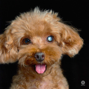 odd eye(feat. Klang)