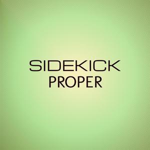 Sidekick Proper