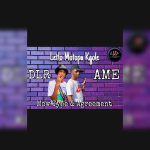 LETLO MOTOPA KGOLE (feat. Mow Type)
