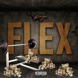 FLEX (Explicit)