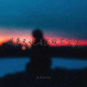 说来又说去还放不下你