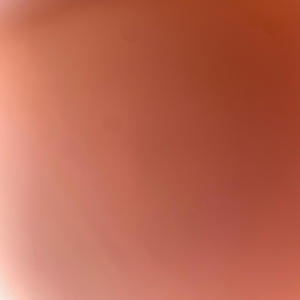 Liljayy (10Mil) (feat. Liljayy)