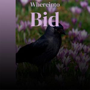 Whereinto Bid