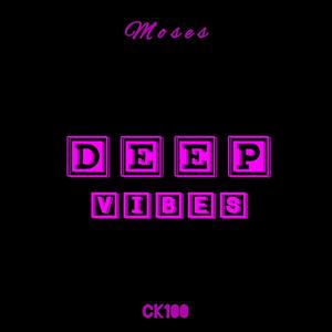 DEEP ViBES 3P