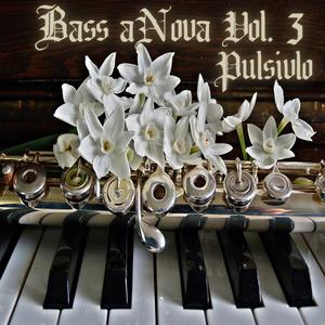 Bass Anova, Vol. 3