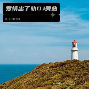 爱情出了轨DJ舞曲