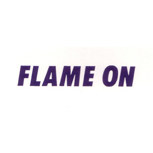 Flame On (Recalled Single) [Explicit]