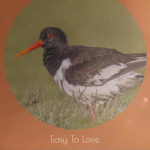 Easy To Love