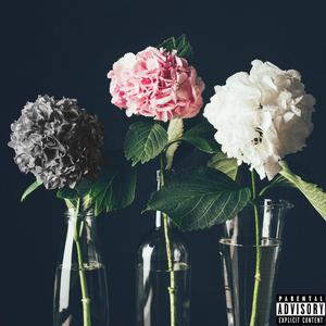 CULPABLE (Explicit)