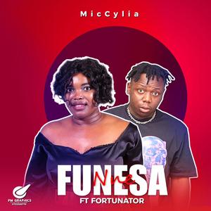Funesa Nne (feat. Fortunator & NTK wadi beat)