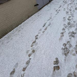 free lil slime (Explicit)