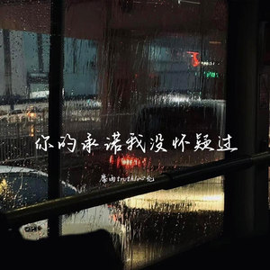 你的承诺我没怀疑过