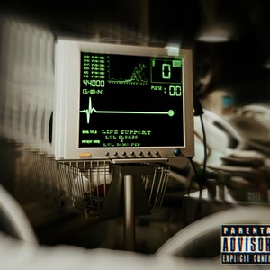 Life support (feat. Fsp Lul Domo) [Explicit]