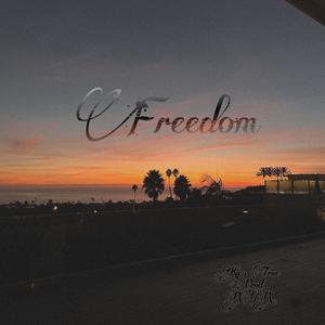 Freedom! (feat. RGR)