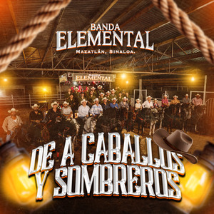 El Favorito (En Vivo)