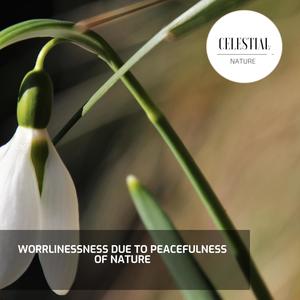 Worrlinessness Due to Peacefulness of Nature