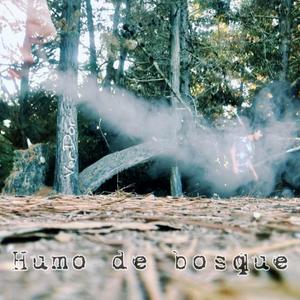 Humo de Bosque