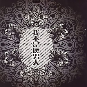 我不是坏男人 (DJ阿文慢摇版)