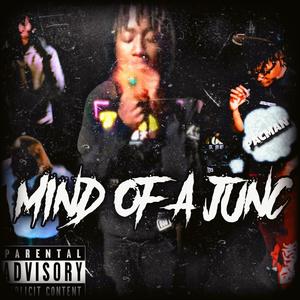 Mind of a Junc (Explicit)