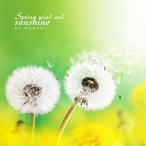 봄바람과 햇살 (Spring wind and sunshine)