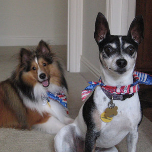 Is This Love?(feat. Bruce McKeithen)