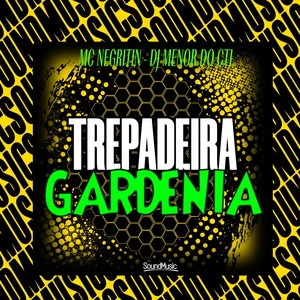 TREPADEIRA GARDENIA (Explicit)