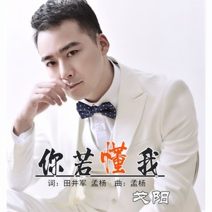 你若懂我