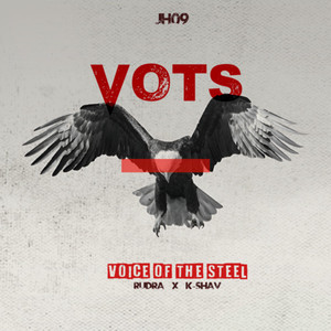 VOTS