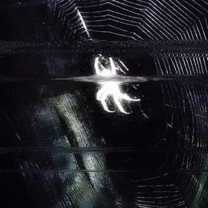 SKORV (Super Slowed)