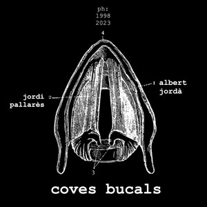 Coves bucals