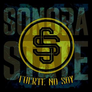 Fuerte No Soy