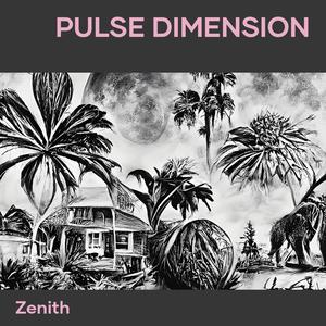 Pulse Dimension