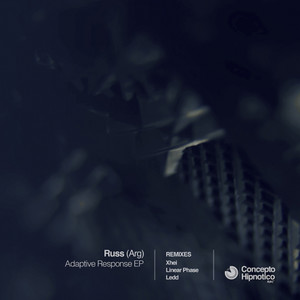 Adaptive Response (Xhei Remix)