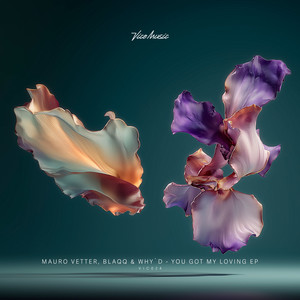 You Got My Loving (Original Mix)