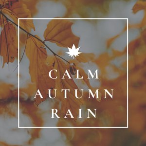 Calm Autumn Rain